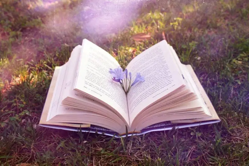 کتابخوانی و افزایش انعطافپذیری ذهنی در مواجهه با مشکلات