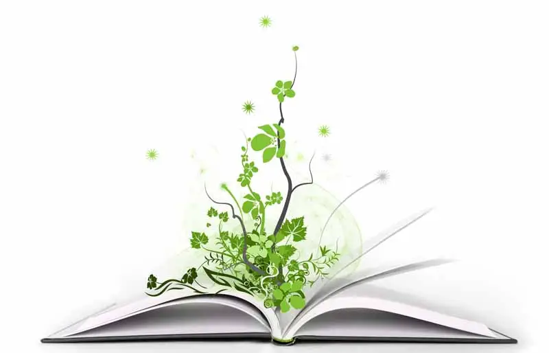 تفاوت تأثیر کتابهای داستانی و غیرداستانی بر روان انسان